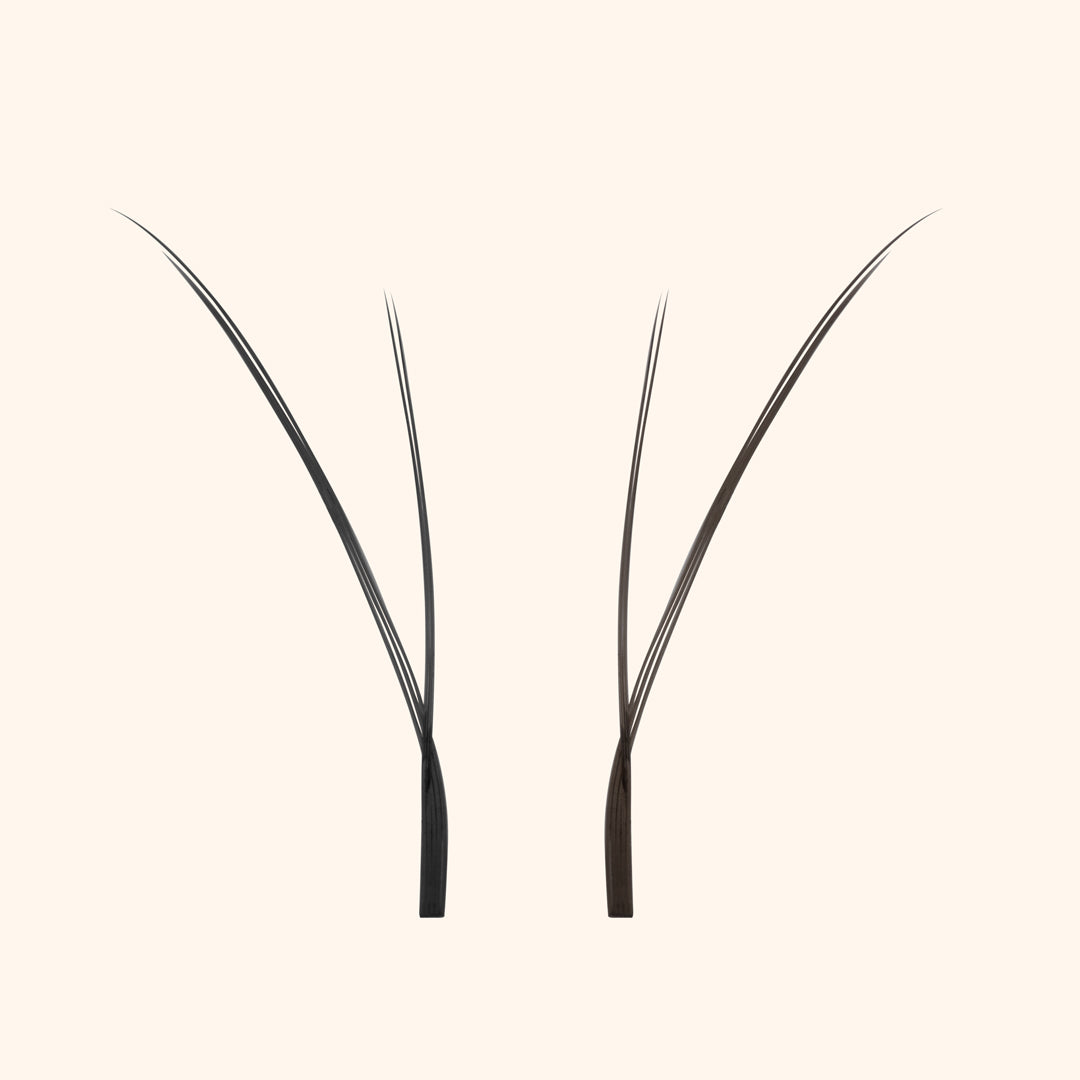 Kätzchenwimpern - Schwarz