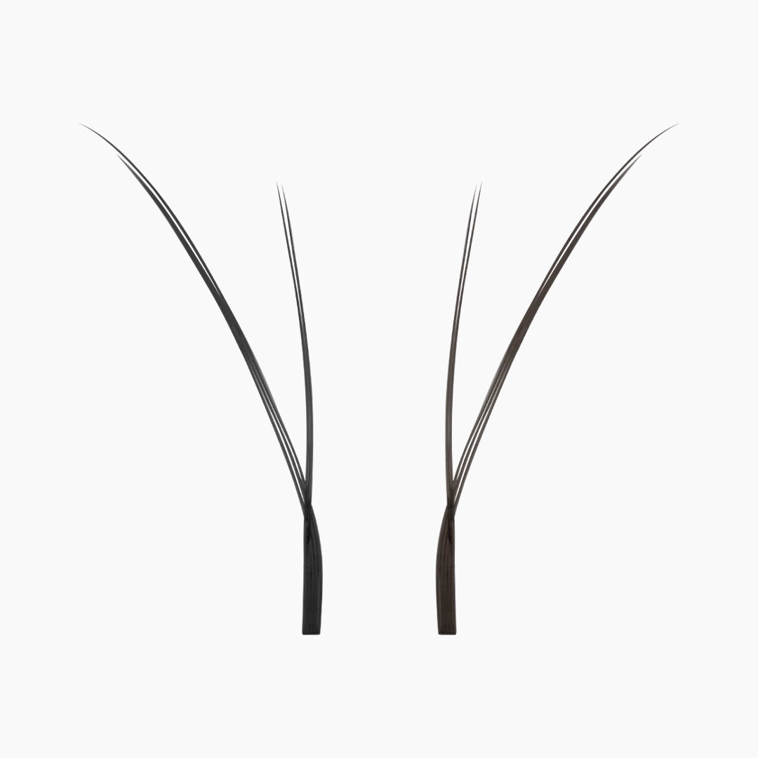 Close-up of two individual black Kitten Lash extension fans on a white background, highlighting their fine tips and lightweight fibres.