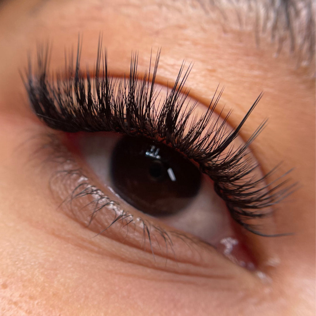 Kensington Lashes 0.085 - 20  Lash Lines